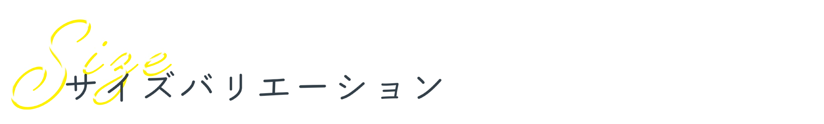 サイズバリエーション