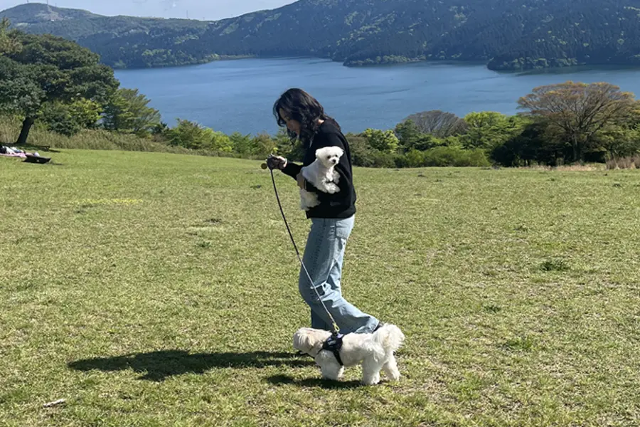 ワークライフバランスについて